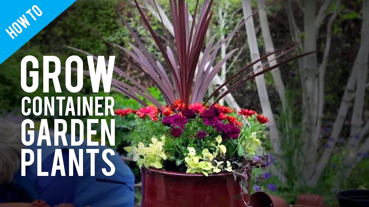 Pot vs. Flowerpot: Decoding Plant Container Types